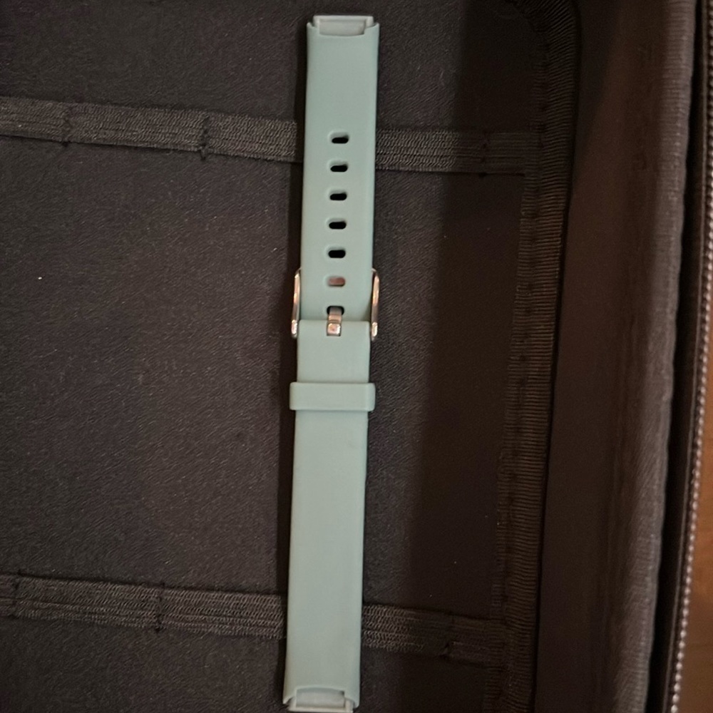 NWOT Fitbit Luxe Wristband